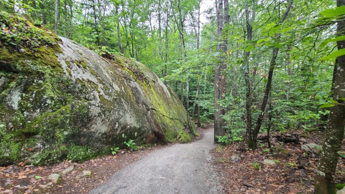 Lookout Trail Algonquin Park
