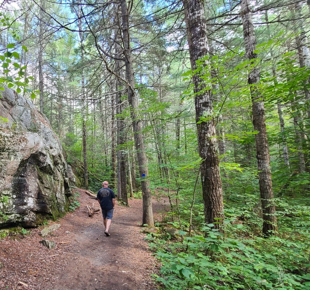 Spruce Bog Boardwalk Trail, Algonquin Park