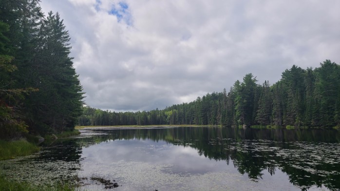 Beaver Pond Trail, Algonquin Provincial Park, Ontario, Canada