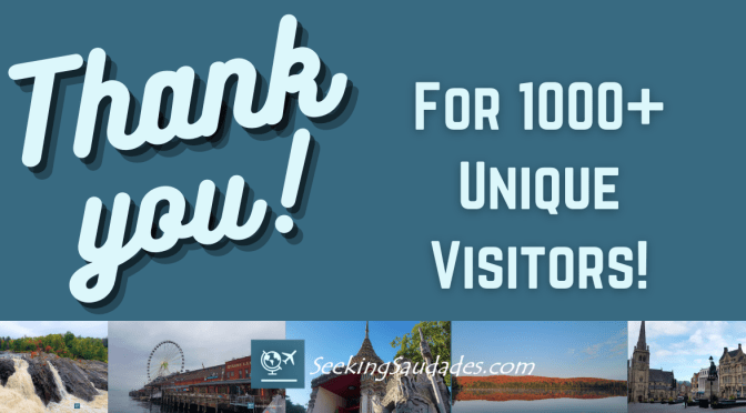 Thank You For 1000+ Unique Visitors!