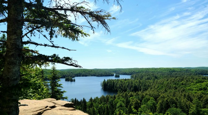 Track and Tower Trail, Algonquin Park – Photo Friday #15